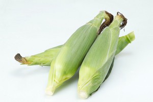 corn1_M