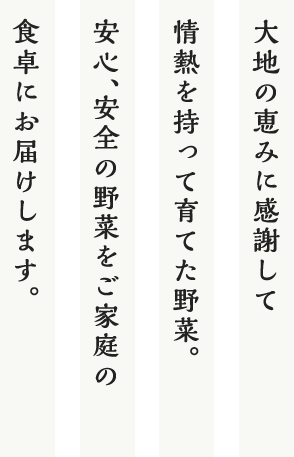 安心、安全の野菜をご家庭に